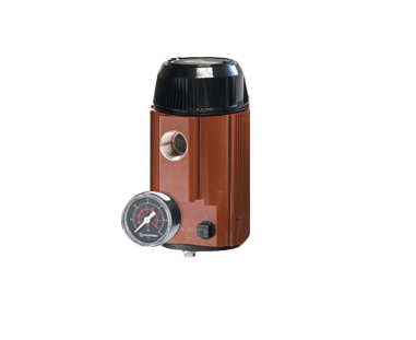 IPH2/12-20mA/3-15PSIG/20PSI/-GA1 [WDNS]